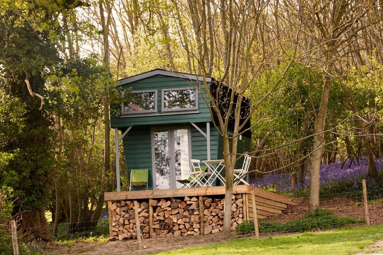 Extraordinary Huts Ltd Villa Rye Eksteriør billede
